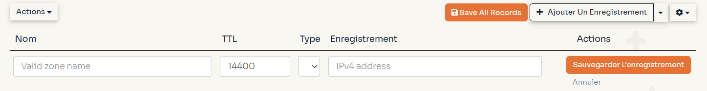 Formulaire d'ajout d'un enregistrement DNS : champs Nom, TTL, Type et Enregistrement